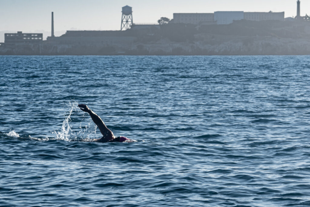Marathon swimmer approaching Aquatic Park with Alcatraz in the background during a Round Trip Angel Island swim